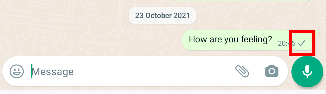 Read receipts in WhatsApp mobile.