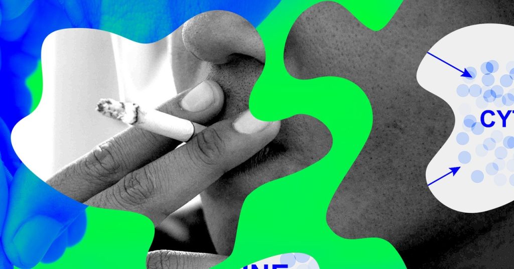 Smoking’s Long-Term Impact: Immune System Changes Persist After Quitting Smoking’s Long-Term Impact: Immune System Changes Persist After Quitting