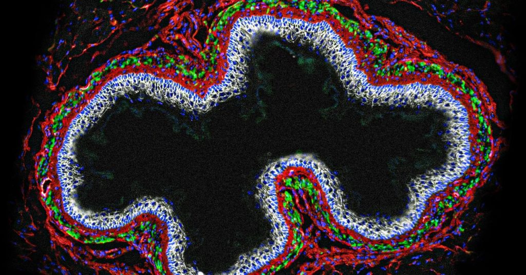 The Gut-Brain Connection: Exploring Your Body’s Second Brain