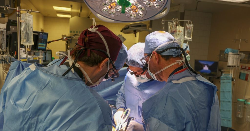 Gene-Edited Pig Kidney Successfully Transplanted Into Human for First Time Gene-Edited Pig Kidney Successfully Transplanted Into Human for First Time