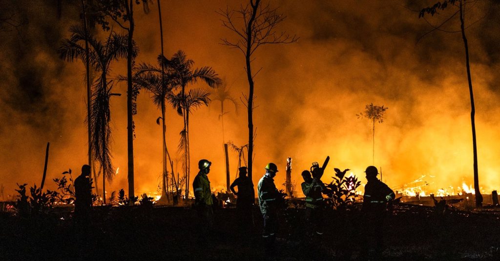 Collapse of the Amazon: Wildfires Threaten Vital Ecosystem Collapse of the Amazon: Wildfires Threaten Vital Ecosystem