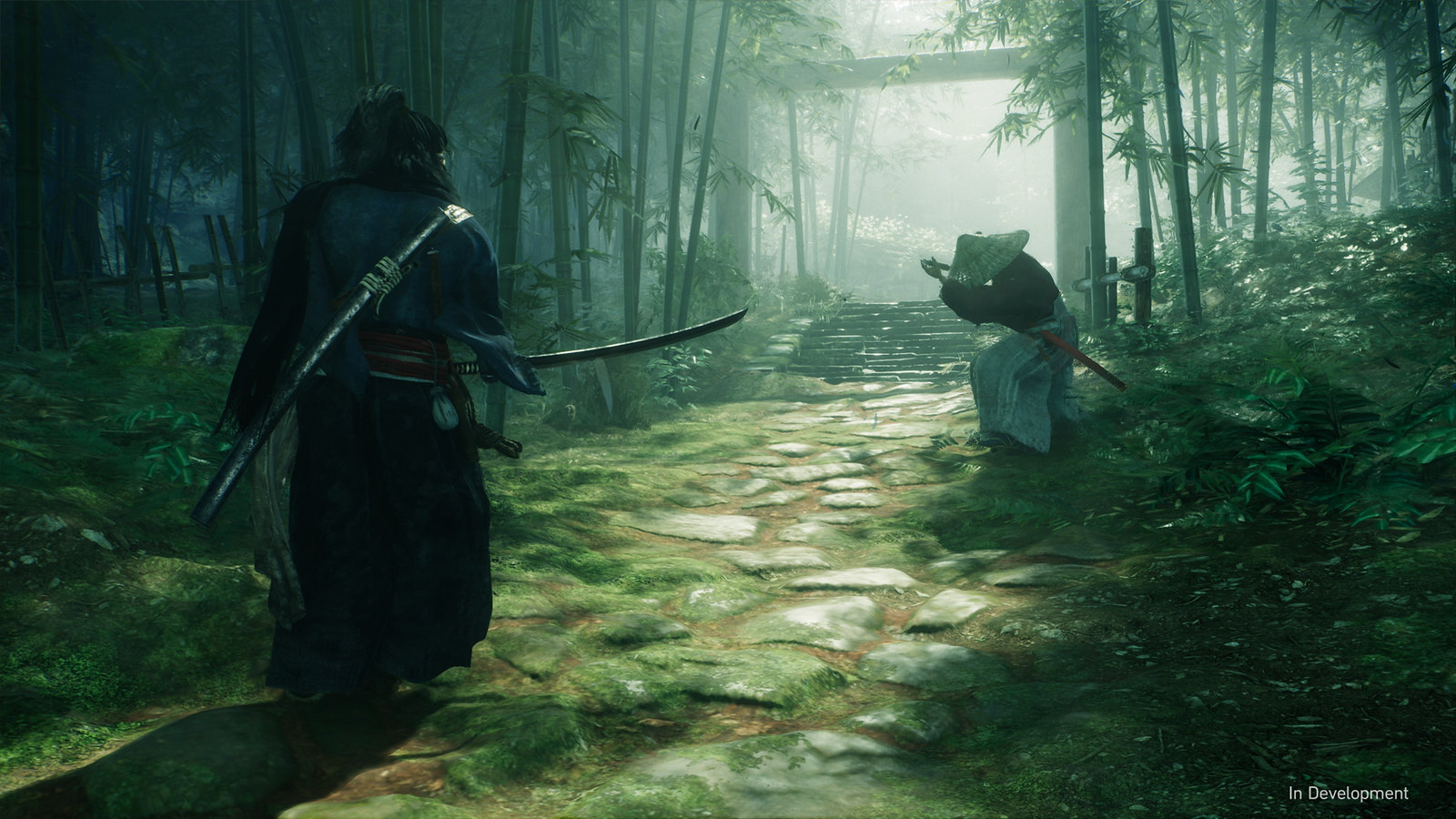 A ronin on a path in Rise of the Ronin.