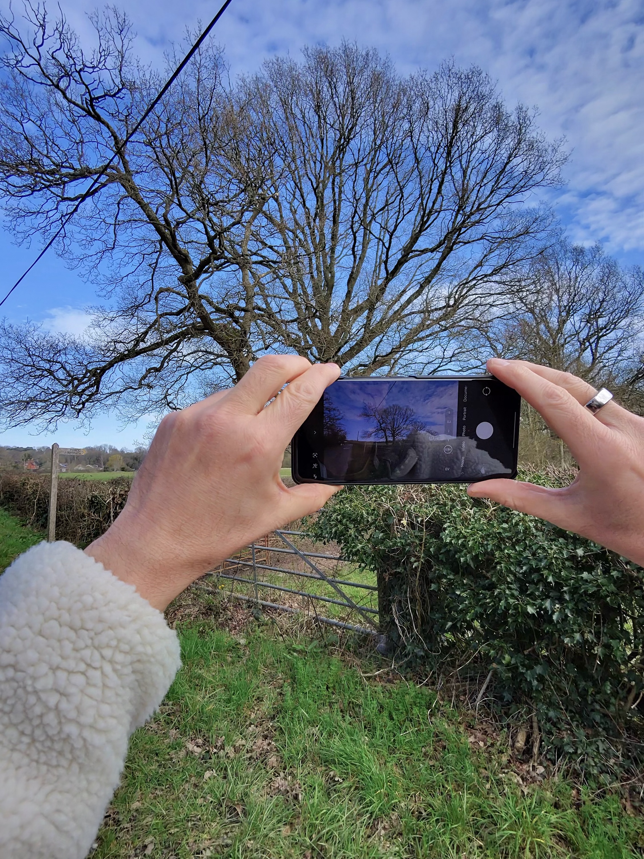 A photo taken with the Ray-Ban Meta smartglasses, before any edits.