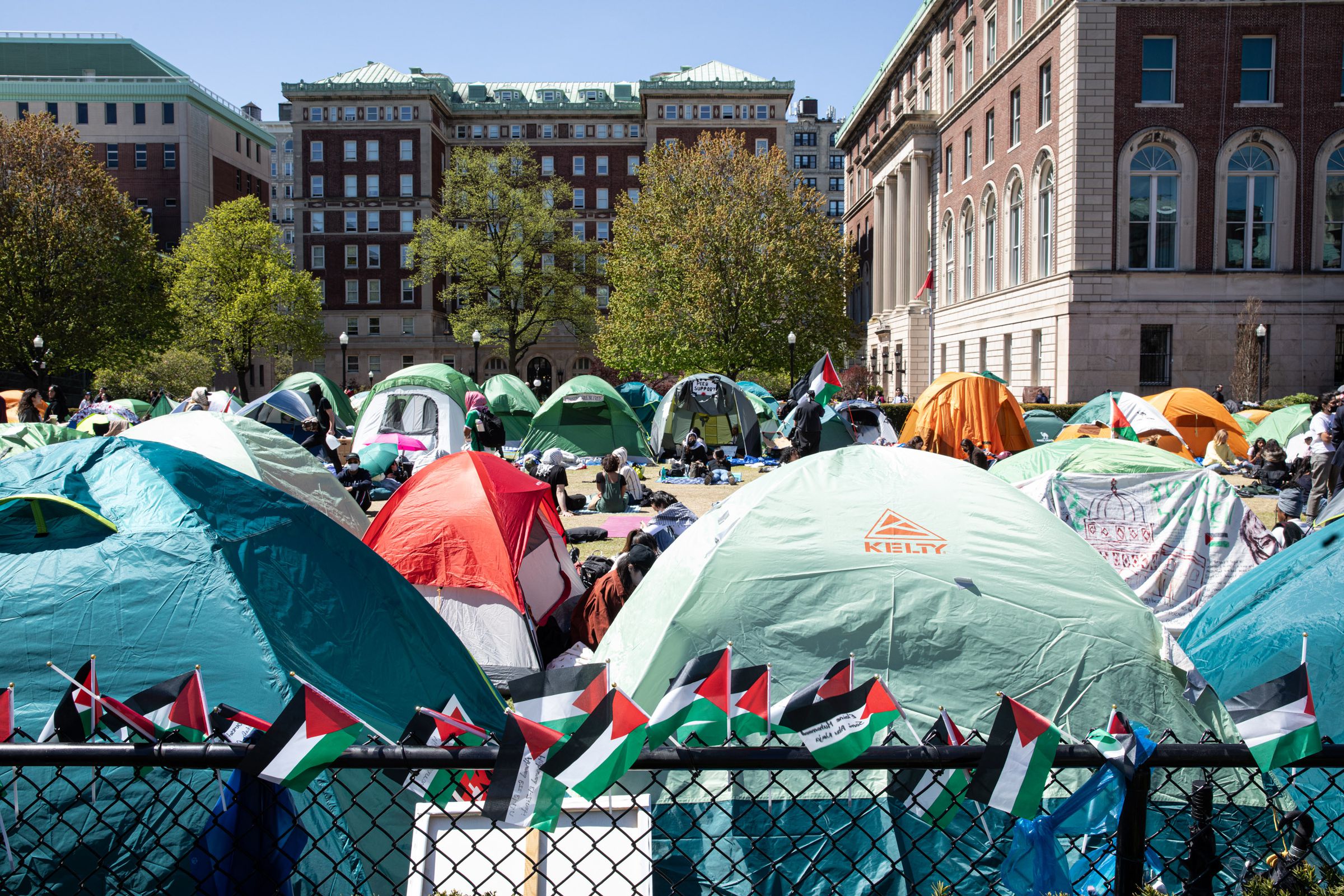 A photo of tents on a university quad, behind a low fence adorned with‍ small​ Palestinian flags.