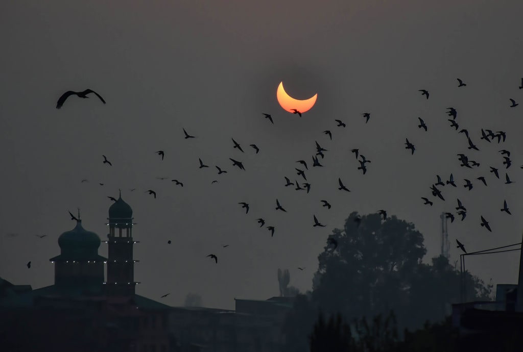 Image ‍may contain Nature⁤ Night Outdoors Astronomy Moon Animal and​ Bird