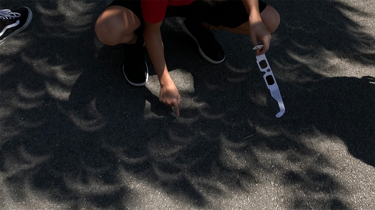 Photo showing‍ a person near the ground look at ‌a bunch of tiny eclipse images projected ​cause⁢ by the ‌small spaces...