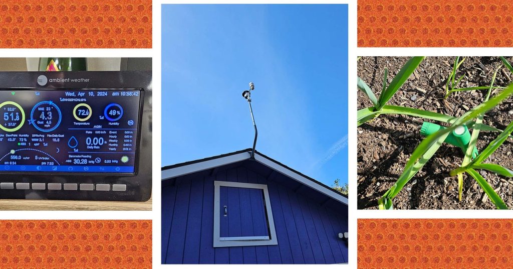 Ambient Weather Station: Comprehensive Data for Weather Enthusiasts Ambient Weather Station: Comprehensive Data for Weather Enthusiasts