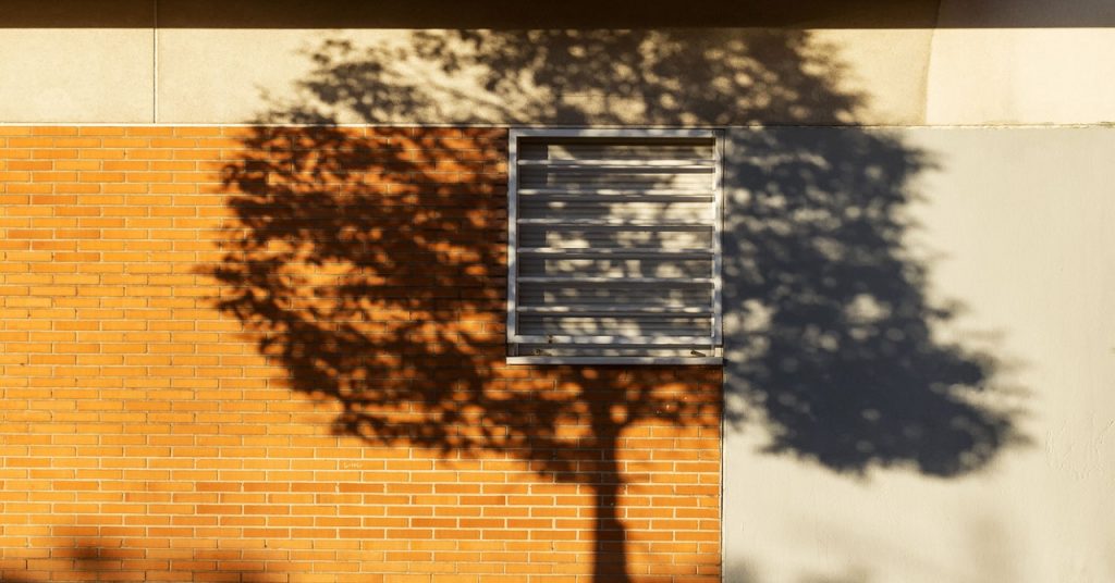 Hardiest Trees Thriving in Today’s Urban Heat