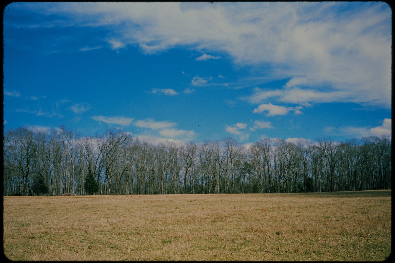 Grainy color photograph of a dry field in the foreground bare trees in the background and a bright blue partly cloudy...