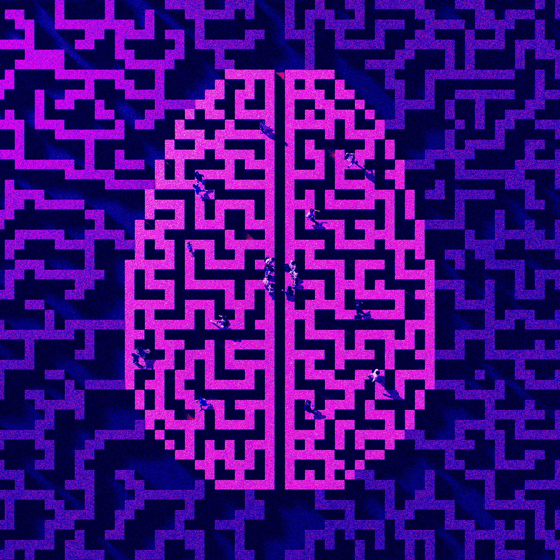 Aerial view of people walking‍ in a brain-shaped⁤ maze