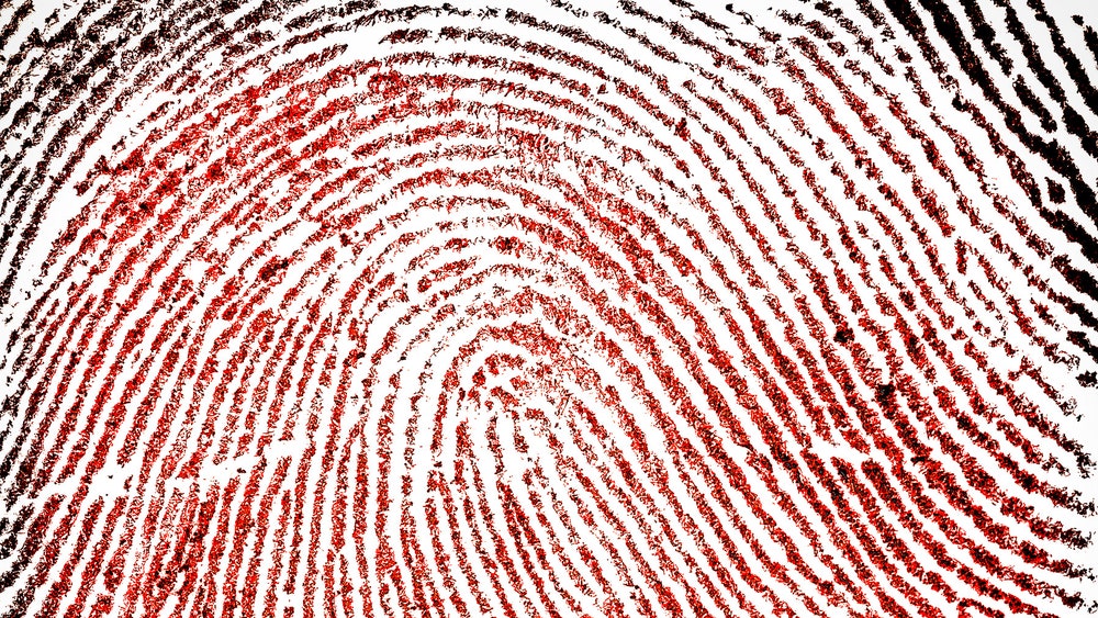 Fingerprint Analysis